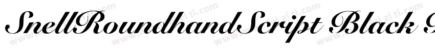 SnellRoundhandScript Black BlackI字体转换